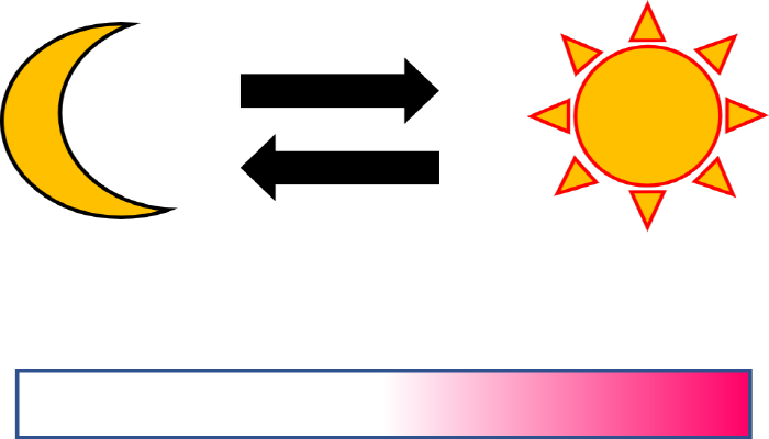 Photochromic Pigmentc capsule